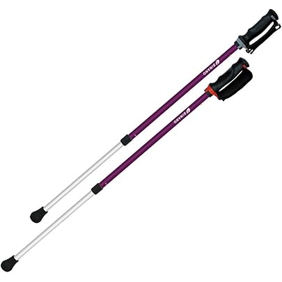 Amazon.co.jp: SINANO(シナノ) レビータLaくっしょん ウォーキング